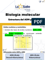 2.6. Biologia Molecular - Estructura Del ADN y El ARN