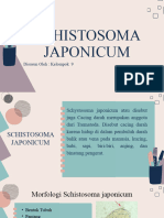 Schistosoma Japonicum