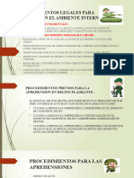 Procedimientos Legales para Opciones en El Ambiente Interno