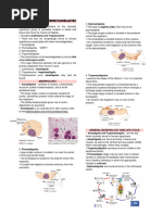 Week 6 Blood and Tissue Flagellates