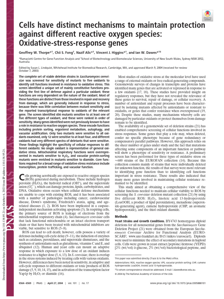 Cell Have Distict Mechanism of ROS | PDF | Reactive Oxygen Species ...