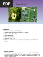 Beetroot Production Guideline 2014 | PDF | Beetroot | Sowing