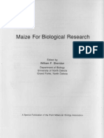 Maize For Biological Research