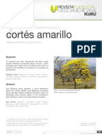 Cortés Amarillo: Árboles Del Valle Central de Costa Rica: Reproducción