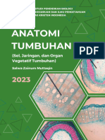 Anatomi Tumbuhan