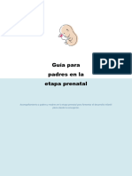 Guía para Acompañamiento Prenatal