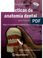 Prácticas de Anatomía Dental María Teresa Riojas Garza 2016