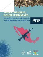 Armas Invisibles Dolor Permanente Informe en Español