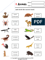 Desert Animals Worksheets