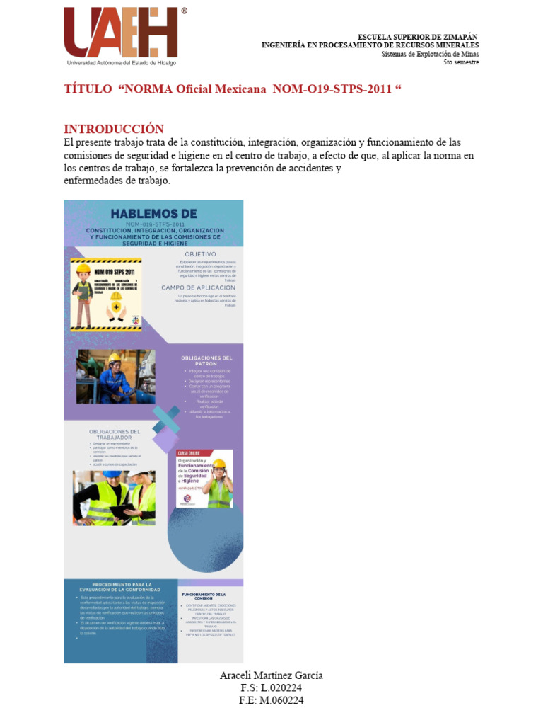 Infografía sobre la Norma 019 STPS | PDF