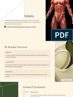 ANATOMIA