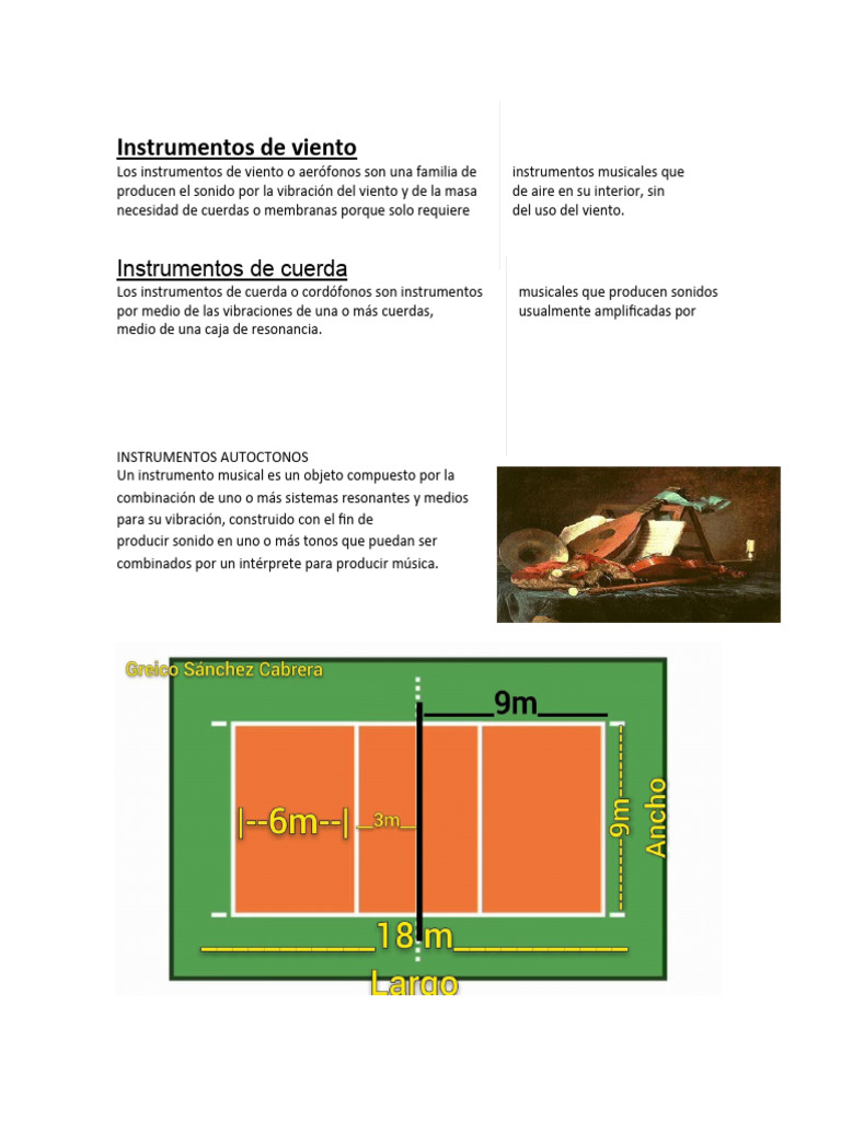 Instrumentos de Viento y Cuerda | PDF