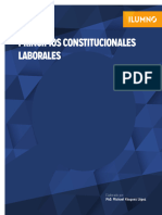 L2M1 LegislacionLaboral PrincipiosConstitucionalesLaborales