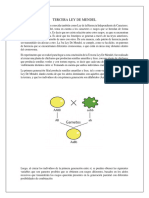 Tercera Ley de Mendel