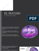 El Nucleo