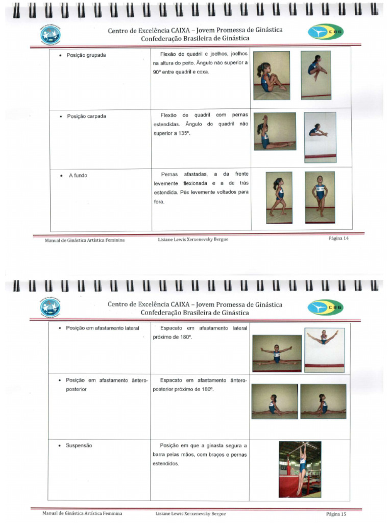 manual-gaf-projeto-jovem-promessa-de-gin-stica-pdf