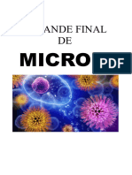 Grande Final - Micro II