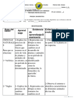 Prueba Diagnostica 2.2 Basica Primaria 2024