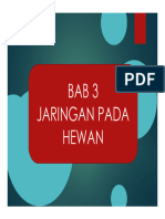 Bab 3. Jaringan Hewan