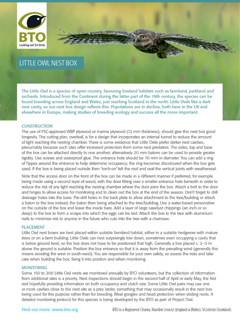 Free Printable Little Owl Nest Box Plans