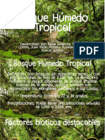Bosque Húmedo Tropical 2022