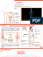 B 4to Sem 34 Sistema Endocrino II