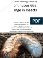 3 - Discontinuous Gas Exchange in Insects