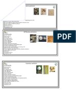 Fichas de Micologia
