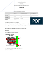 Revision Tut 1 Block 1