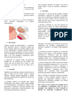 7 - Morfisiologia Das Meinges