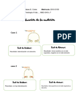 Jabes E. Cotes 2018-3155.. Evaluación de La Audición