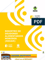 Registro de Deudores Alimentarios REDAMACTUALIZADO