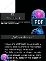 EL Cerebro: Alumno: Arturo Jesus Chavez Valencia Materia: Psicobiologia 2
