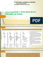 Unidad 2 - Tema 1 Hormonas