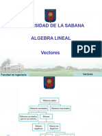 Algebra Lineal Vectores