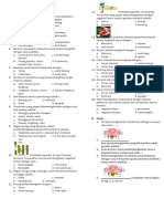 Soal Perkembangbiakan Tumbuhan