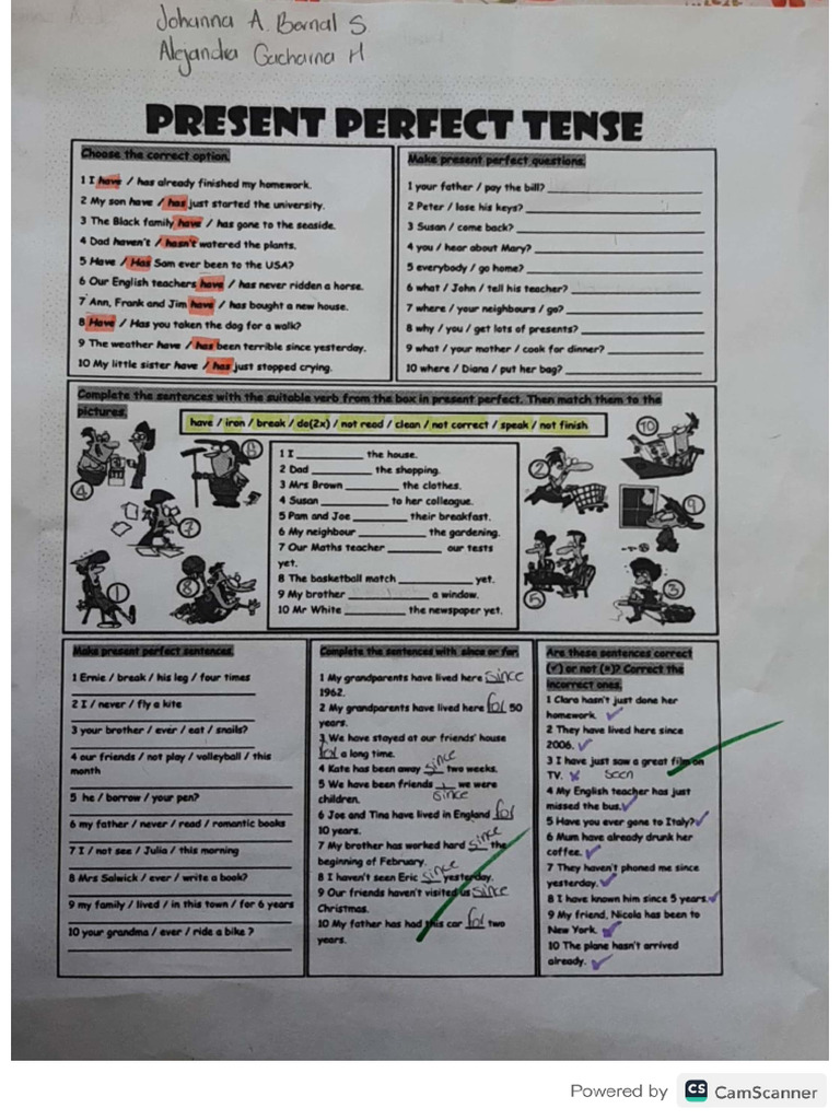 Present Perfect Workshop | PDF