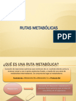 Rutas Metabolicas