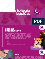 Dermatología Básica