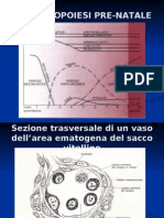 Fisiologia e Sviluppo Midollo