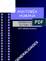Anatomía Humana - Clase 1 - 2023