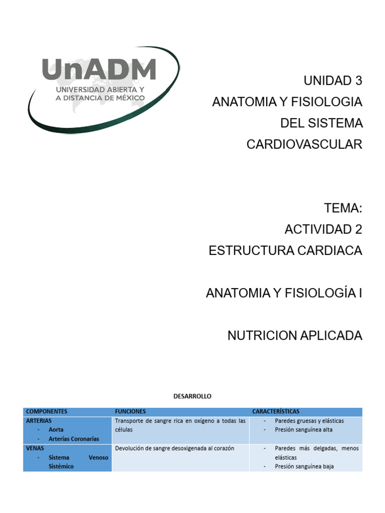 Estructura Cardiaca Pdf Corazón Vena