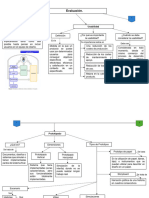 Mapa Conceptual Evaluación