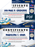Ves Inset Certificate 2024