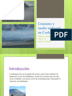 Consumo y Medio Ambiente en Coyhaique