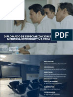 Brochure Diplomado 2024