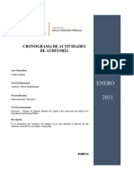 Cronograma de Actividades de Auditoria Subfi 4