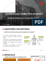 Presentación Anatomía Palpatoria. Movimientos Funcionales de Los Músculos. Localización de Puntos Dolorosos