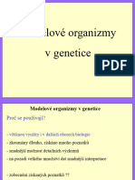 Modelové Organizmy V Genetice