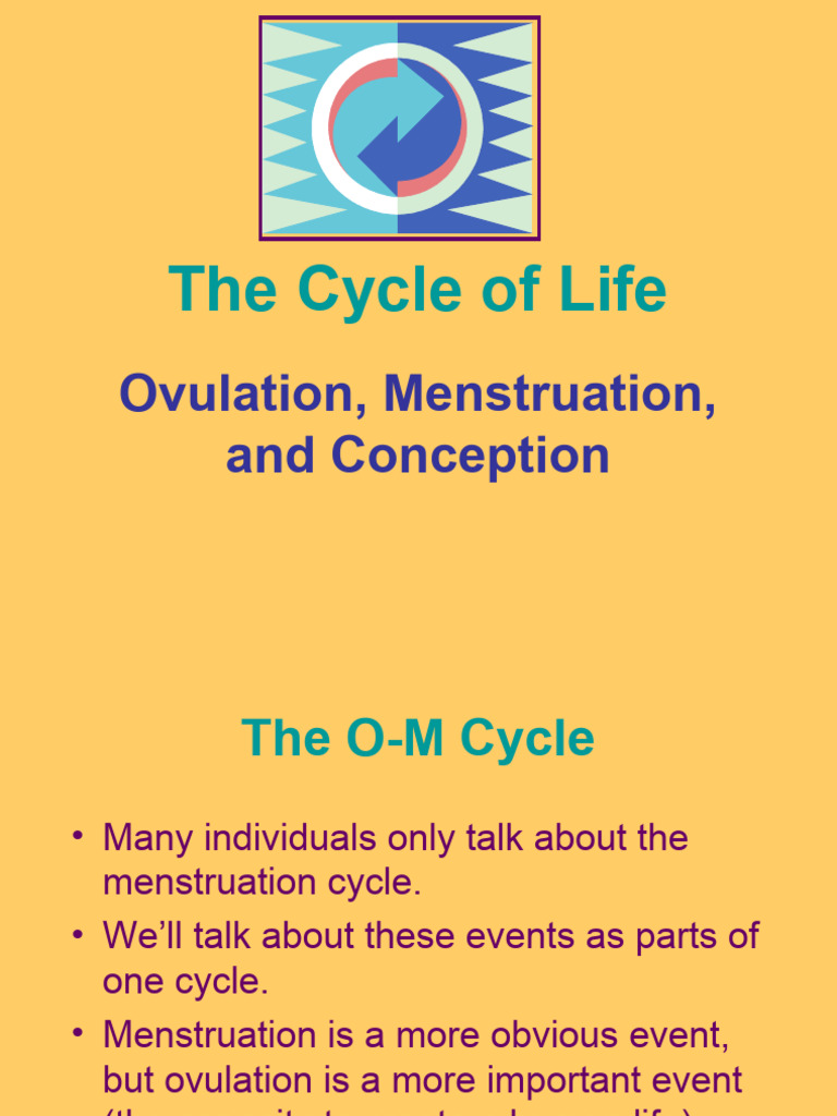 Understanding Ovulation and Menstruation | PDF | Menstrual Cycle ...